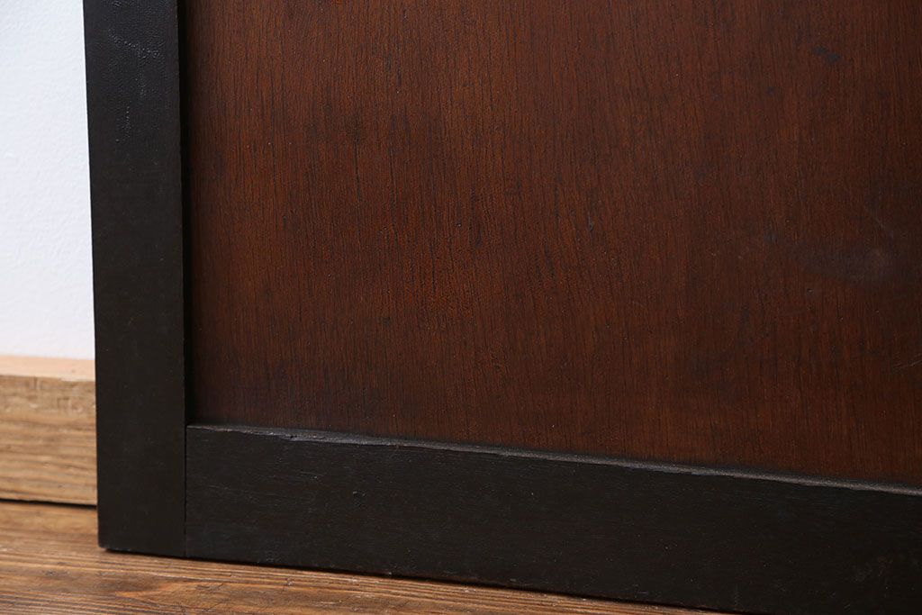 アンティーク 珍品 古い試験室のドア(扉)