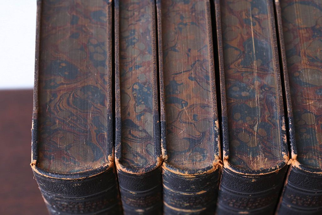 アンティーク雑貨 アンティーク 1899年古い洋書8冊セット(古書