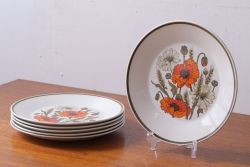アンティーク雑貨　イギリスビンテージ　J&G　MEAKIN(ミーキン) POPPY(ポピー)シリーズ　ディナープレート6枚(洋食器・皿)