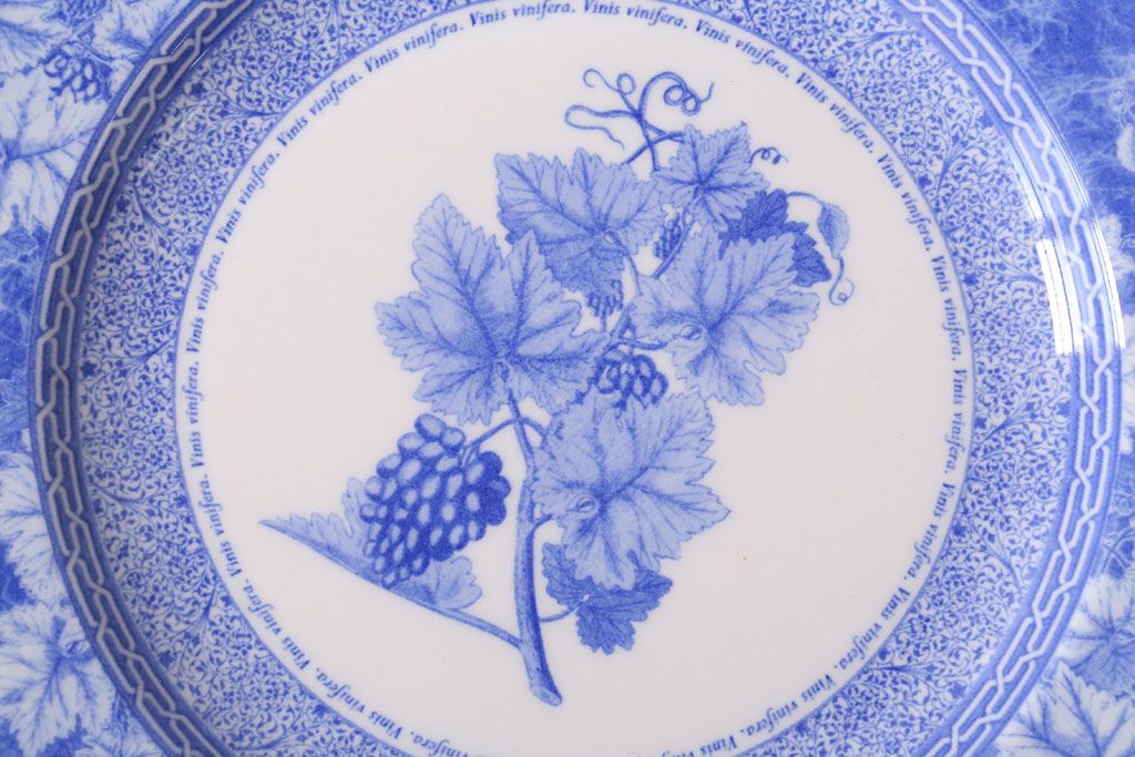 アンティーク雑貨　中古　イギリスWedgwood(ウェッジウッド) vintageblue(ビンテージブルー) 皿2枚(洋食器)