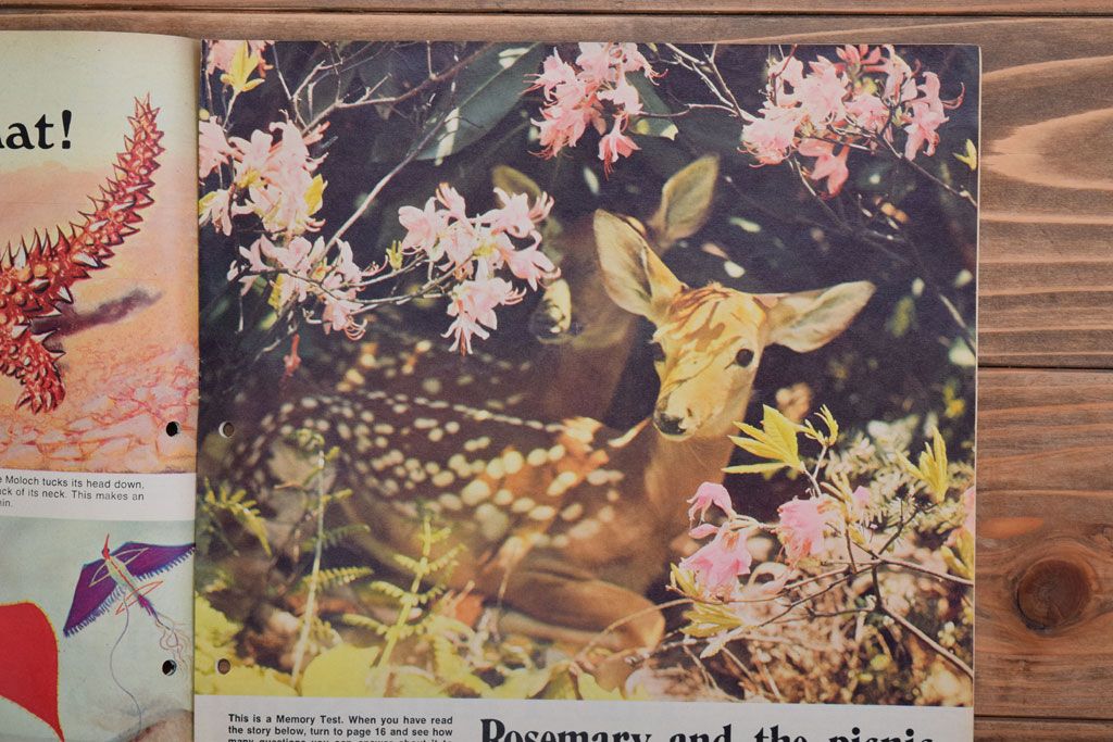 アンティーク雑貨　イギリスビンテージ　1971年　Once Upon a Time 児童雑誌(絵本)5冊セット