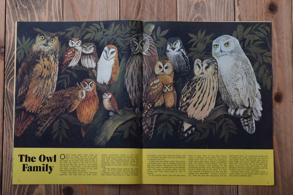アンティーク雑貨　イギリスビンテージ　1971年　Once Upon a Time 児童雑誌(絵本)5冊セット(2)