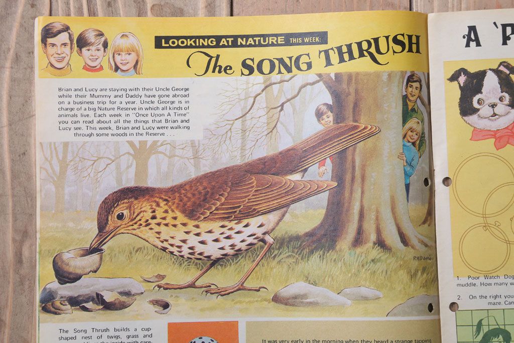 アンティーク雑貨　イギリスビンテージ　1972年　Once Upon a Time 児童雑誌(絵本)5冊セット