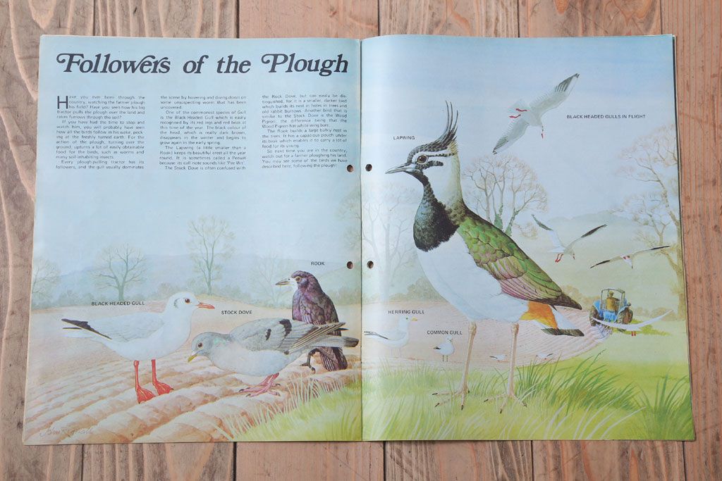 アンティーク雑貨　イギリスビンテージ　1972年　Once Upon a Time 児童雑誌(絵本)5冊セット