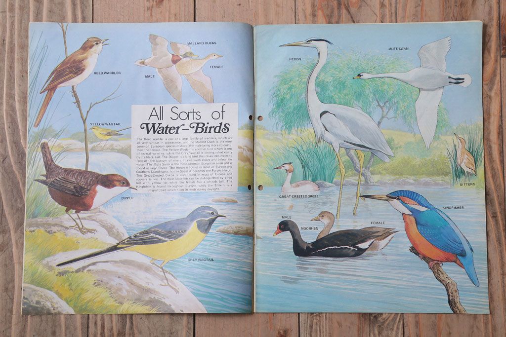 アンティーク雑貨　イギリスビンテージ　1972年　Once Upon a Time 児童雑誌(絵本)5冊セット