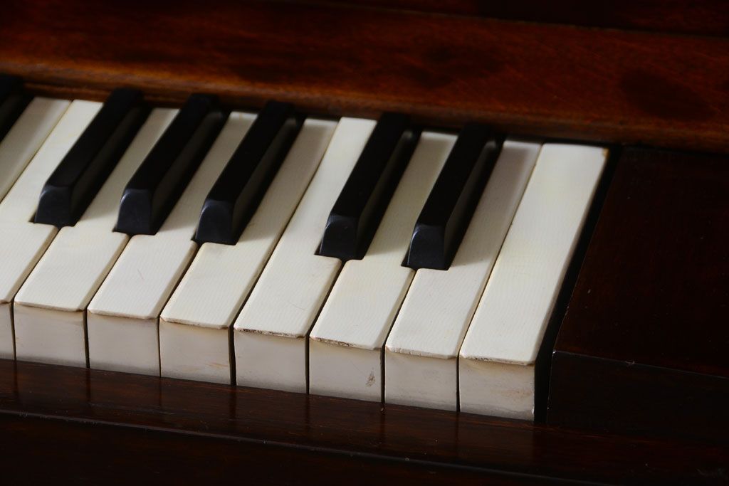 明治期の足踏みリードオルガン】ハーモニウム木製鍵盤楽器ピアノ