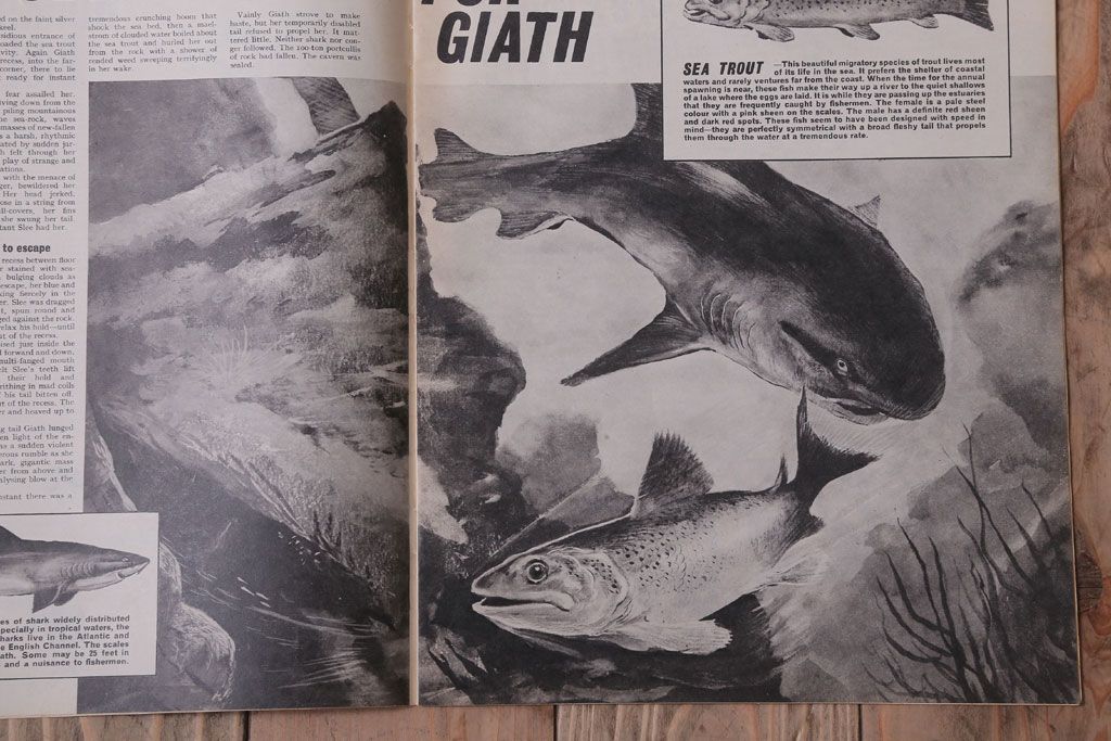アンティーク雑貨　イギリスビンテージ　1967年　LOOK AND LEARN 児童雑誌(コミック)5冊セット