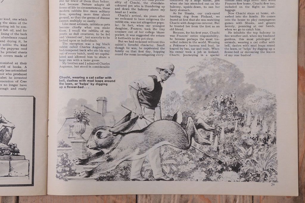 アンティーク雑貨　イギリスビンテージ　1967年　LOOK AND LEARN 児童雑誌(コミック)5冊セット