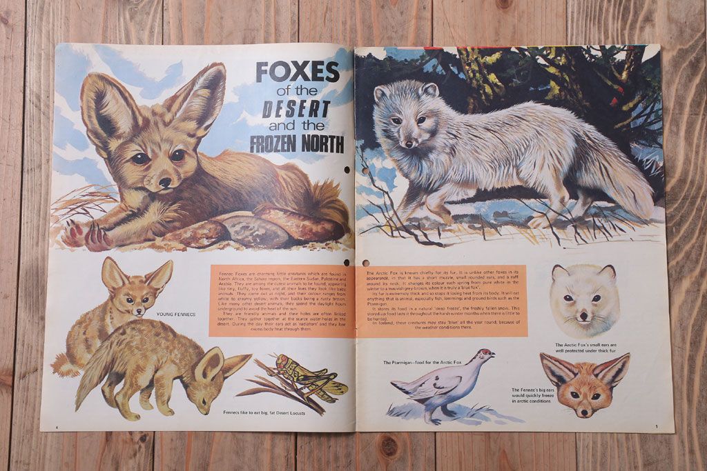 アンティーク雑貨　イギリスビンテージ　1972年　Once Upon a Time 児童雑誌(絵本)5冊セット(2)