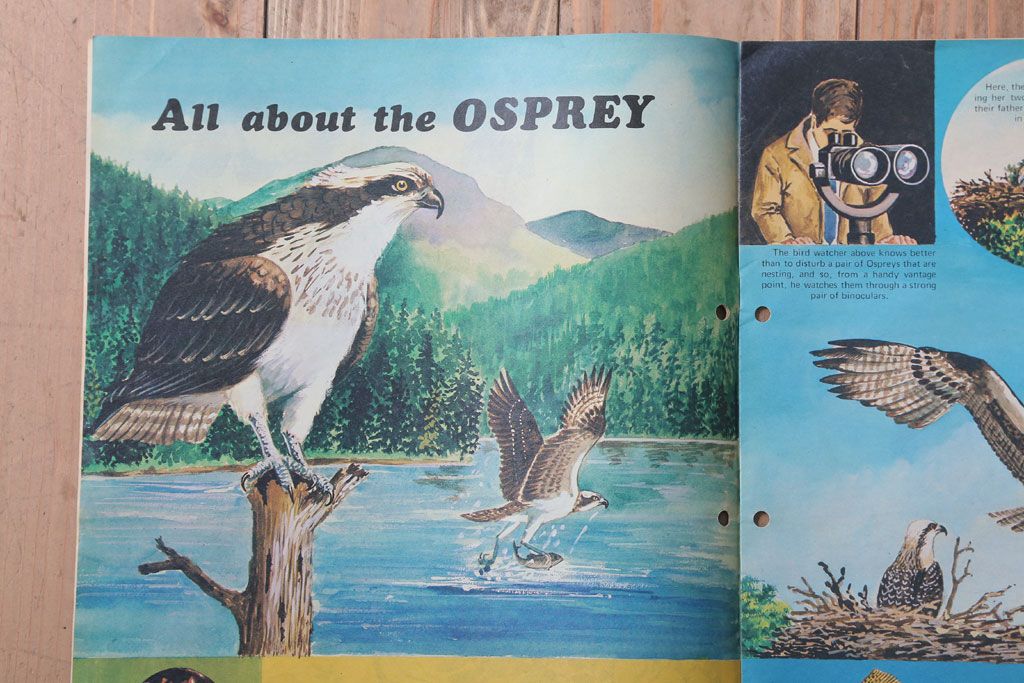 アンティーク雑貨　イギリスビンテージ　1972年　Once Upon a Time 児童雑誌(絵本)5冊セット(2)