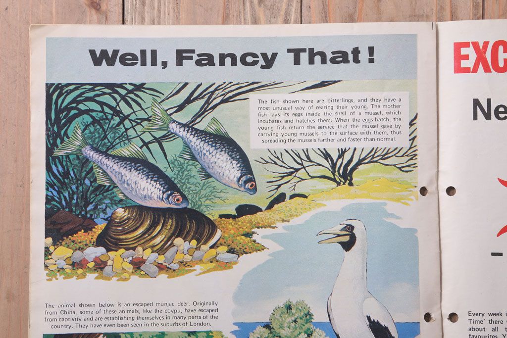 アンティーク雑貨　イギリスビンテージ　1972年　Once Upon a Time 児童雑誌(絵本)5冊セット(2)