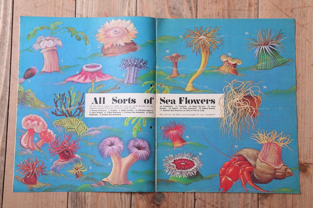 アンティーク雑貨　イギリスビンテージ　1971年　Once Upon a Time 児童雑誌(絵本)5冊セット(3)