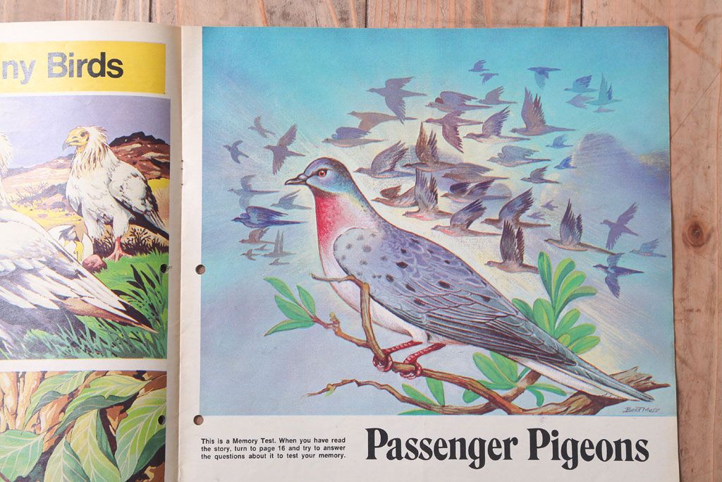 アンティーク雑貨　イギリスビンテージ　1971年　Once Upon a Time 児童雑誌(絵本)5冊セット(3)