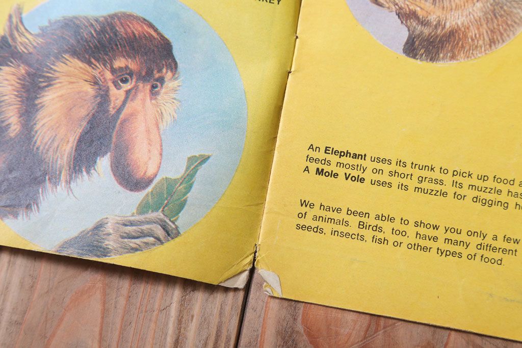 アンティーク雑貨　イギリスビンテージ　1971年　Once Upon a Time 児童雑誌(絵本)5冊セット(3)