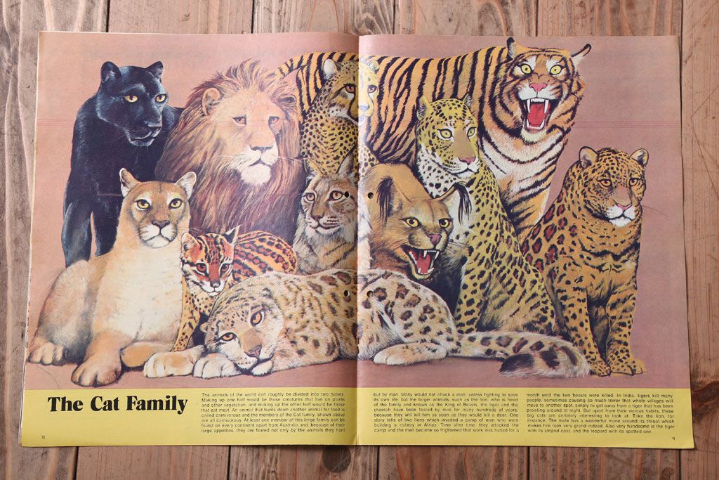アンティーク雑貨　イギリスビンテージ　1971年　Once Upon a Time 児童雑誌(絵本)5冊セット(3)