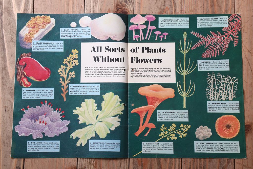 アンティーク雑貨　イギリスビンテージ　1971年　Once Upon a Time 児童雑誌(絵本)5冊セット(3)