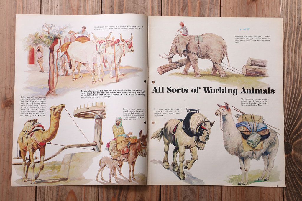 アンティーク雑貨　イギリスビンテージ　1971年　Once Upon a Time 児童絵本(雑誌)5冊セット