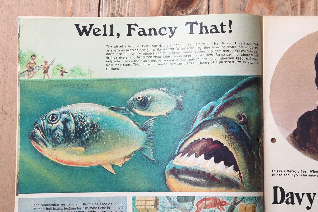 アンティーク雑貨　イギリスビンテージ　1971年　Once Upon a Time 児童絵本(雑誌)5冊セット
