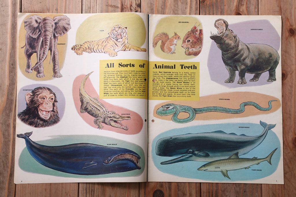 アンティーク雑貨　イギリスビンテージ　1971年　Once Upon a Time 児童絵本(雑誌)5冊セット