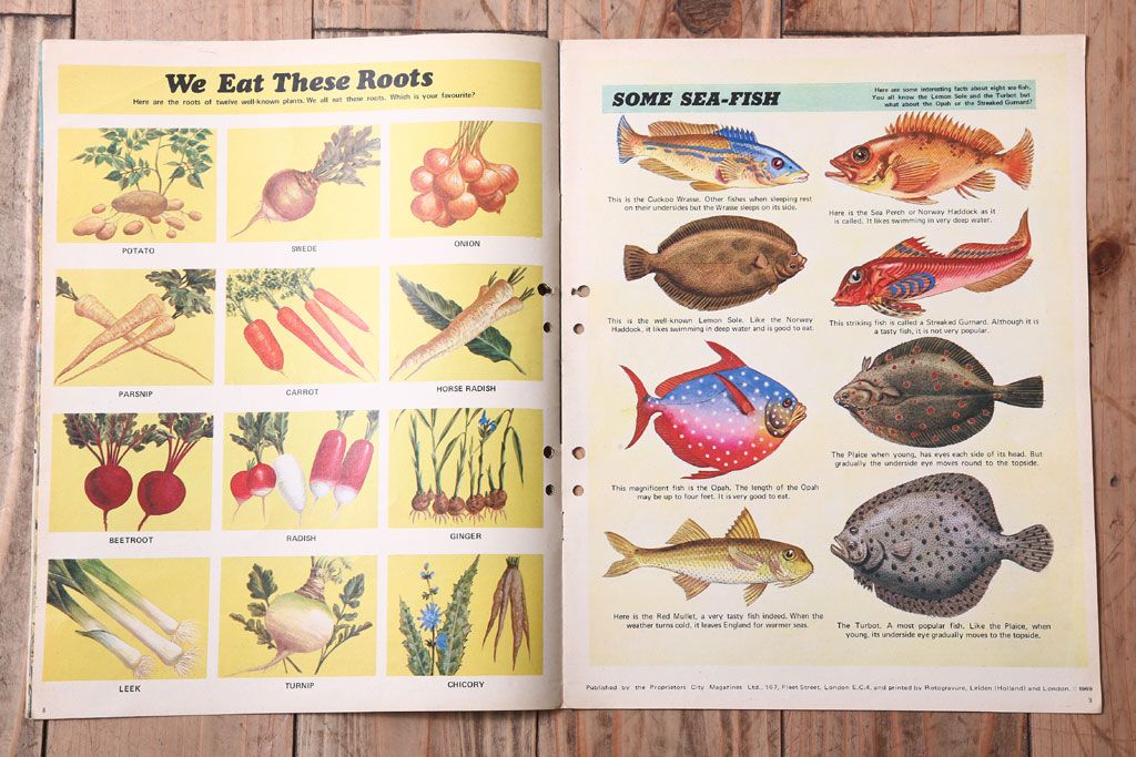 アンティーク雑貨　イギリスビンテージ　1969年　Once Upon a Time 児童雑誌(絵本)5冊セット