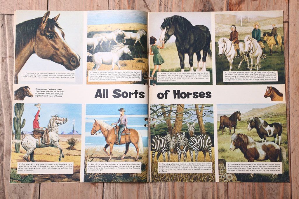 アンティーク雑貨　イギリスビンテージ　1969年　Once Upon a Time 児童雑誌(絵本)5冊セット