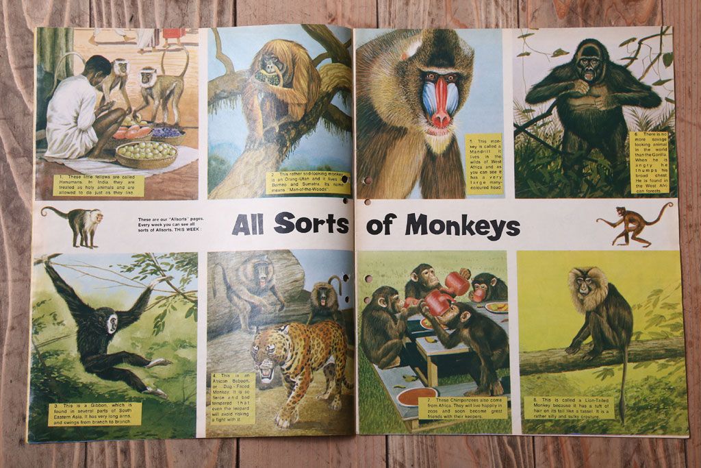 アンティーク雑貨　イギリスビンテージ　1969年　Once Upon a Time 児童雑誌(絵本)5冊セット