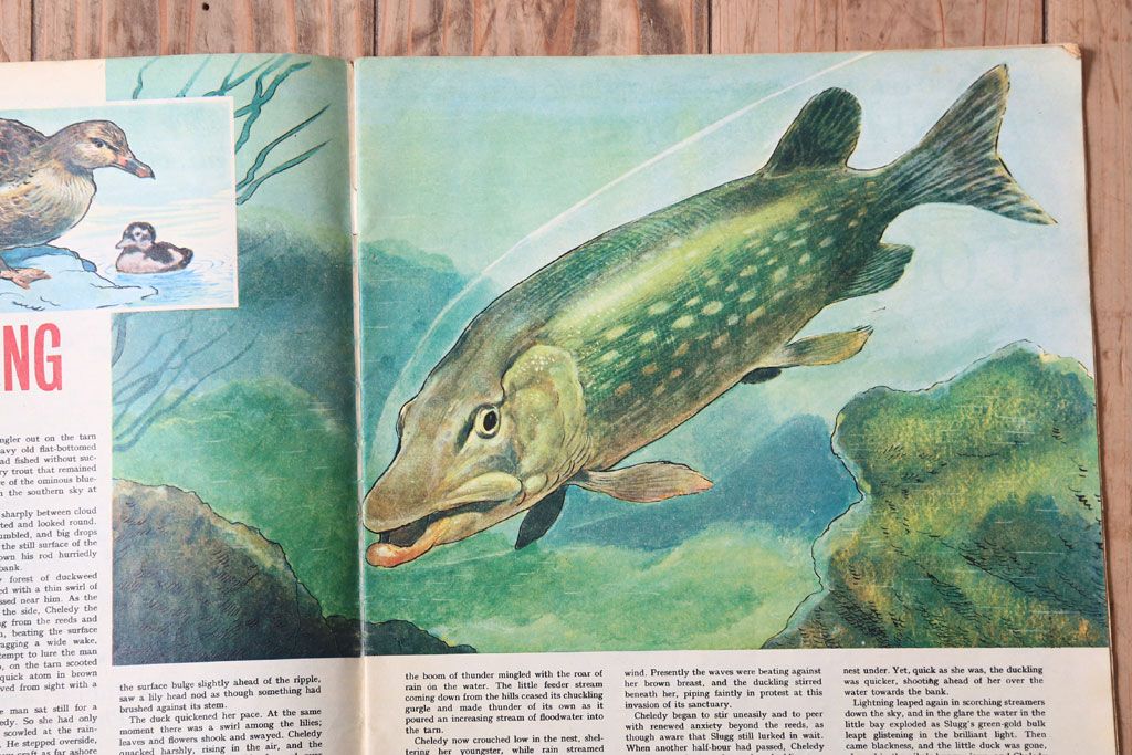 アンティーク雑貨　イギリスビンテージ　1967年　LOOK AND LEARN 児童雑誌(コミック)5冊セット(2)