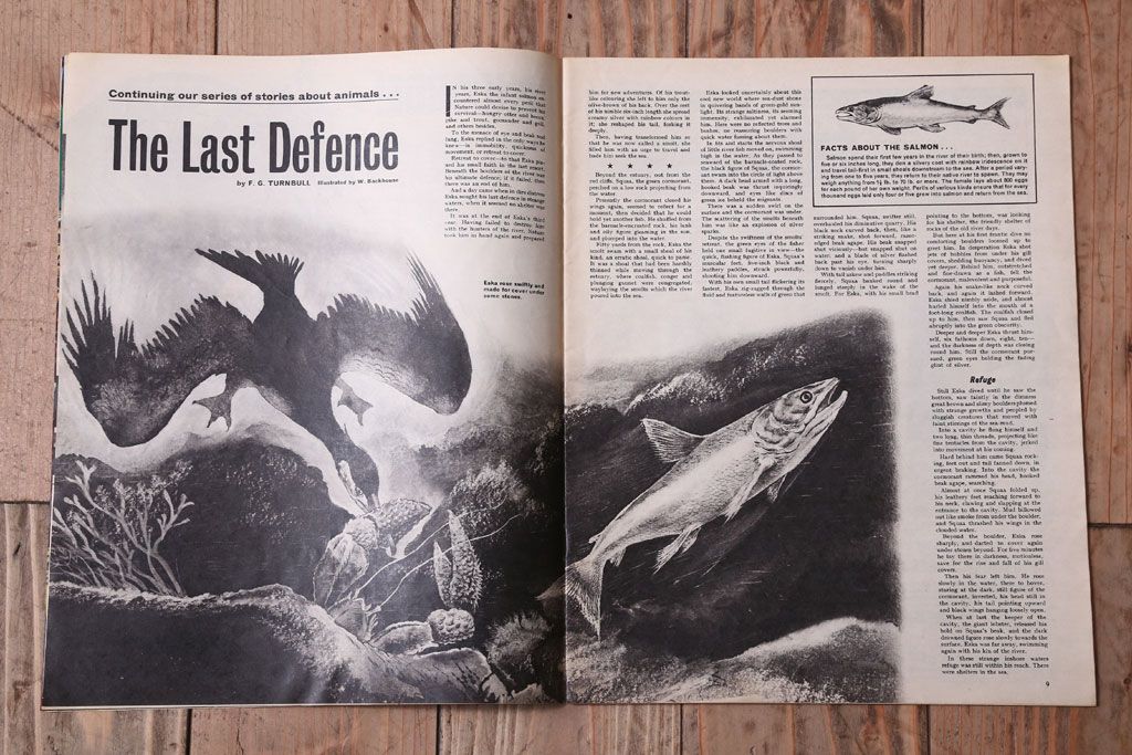 アンティーク雑貨　イギリスビンテージ　1967年　LOOK AND LEARN 児童雑誌(コミック)5冊セット(2)