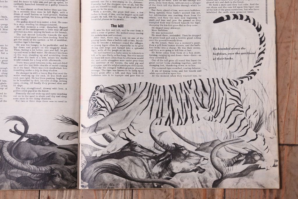 アンティーク雑貨　イギリスビンテージ　1967年　LOOK AND LEARN 児童雑誌(コミック)5冊セット(2)