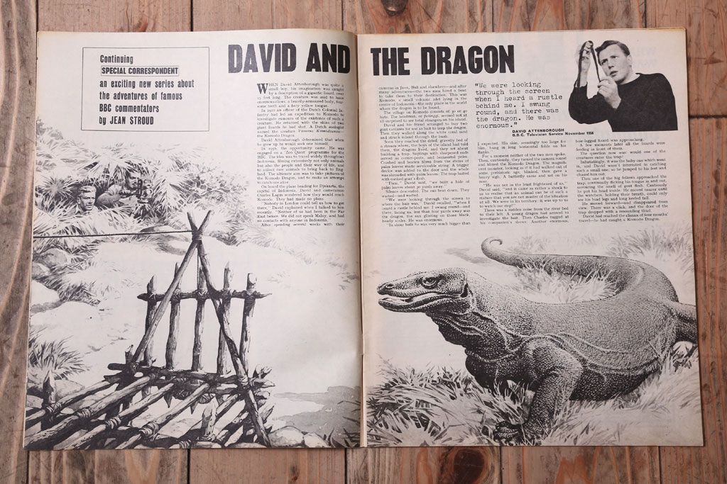 アンティーク雑貨　イギリスビンテージ　1967年　LOOK AND LEARN 児童雑誌(コミック)5冊セット(3)