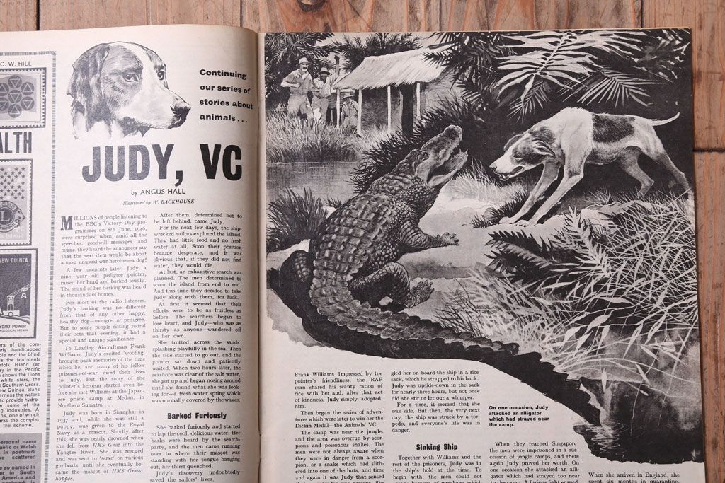アンティーク雑貨　イギリスビンテージ　1967年　LOOK AND LEARN 児童雑誌(コミック)5冊セット(3)