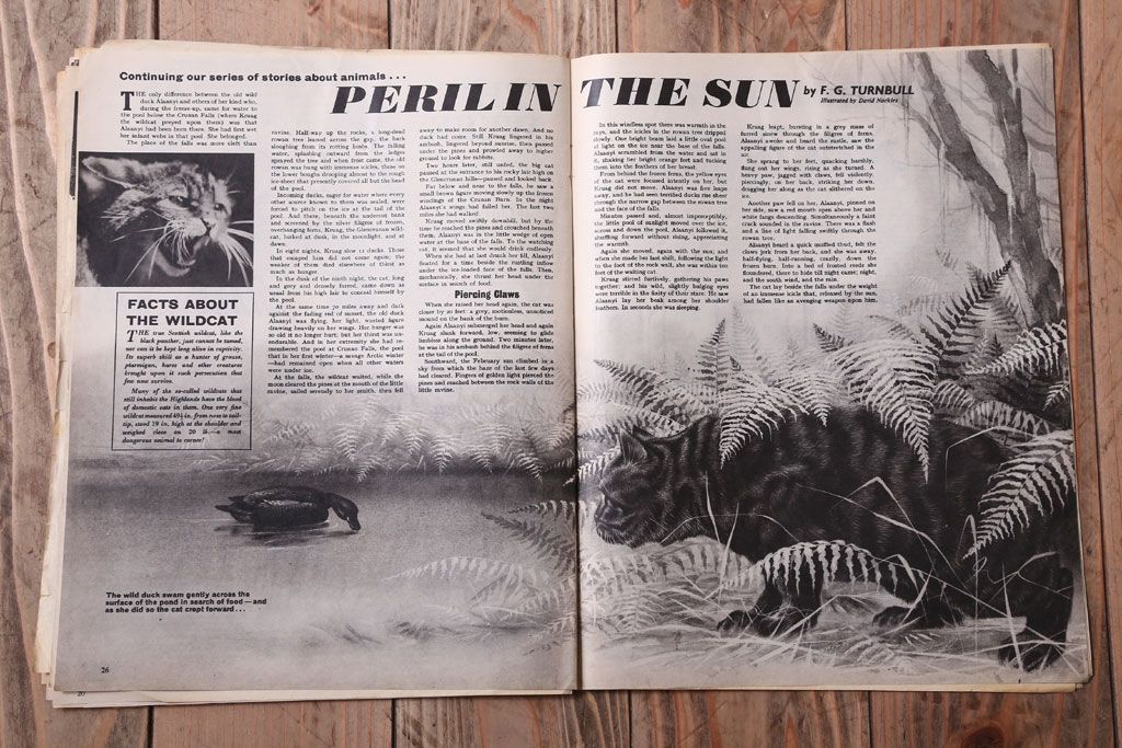 アンティーク雑貨　イギリスビンテージ　1967年　LOOK AND LEARN 児童コミック(雑誌)5冊セット