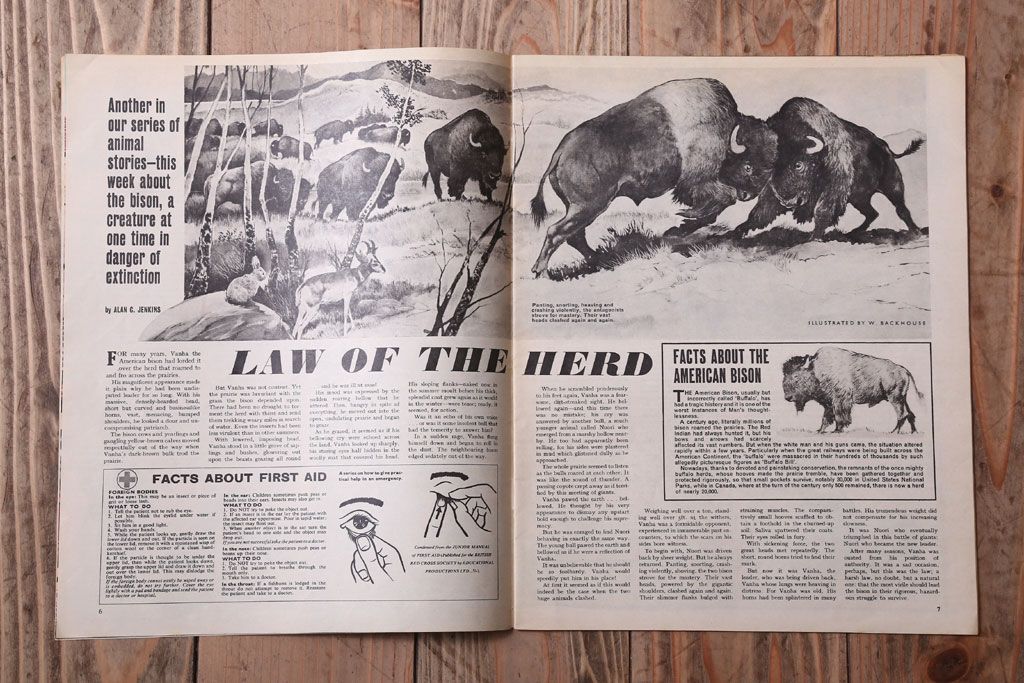 アンティーク雑貨　イギリスビンテージ　1967年　LOOK AND LEARN 児童コミック(雑誌)5冊セット