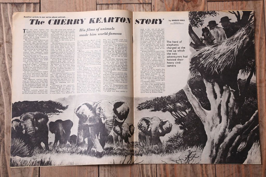 アンティーク雑貨　イギリスビンテージ　1967年　LOOK AND LEARN 児童コミック(雑誌)5冊セット