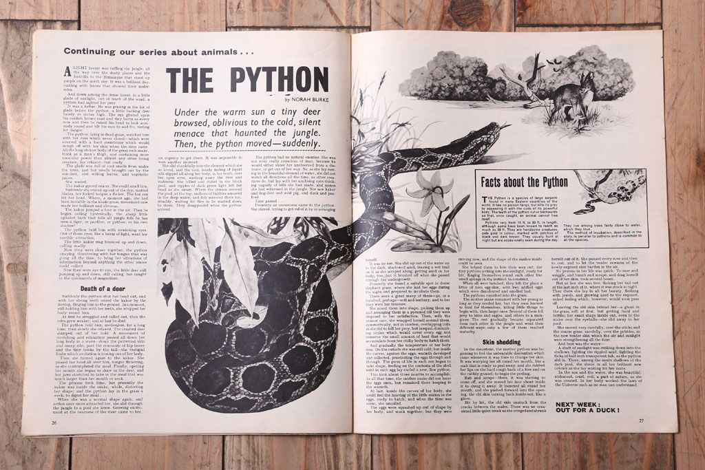 アンティーク雑貨　イギリスビンテージ　1967年　LOOK AND LEARN 児童コミック(雑誌)5冊セット