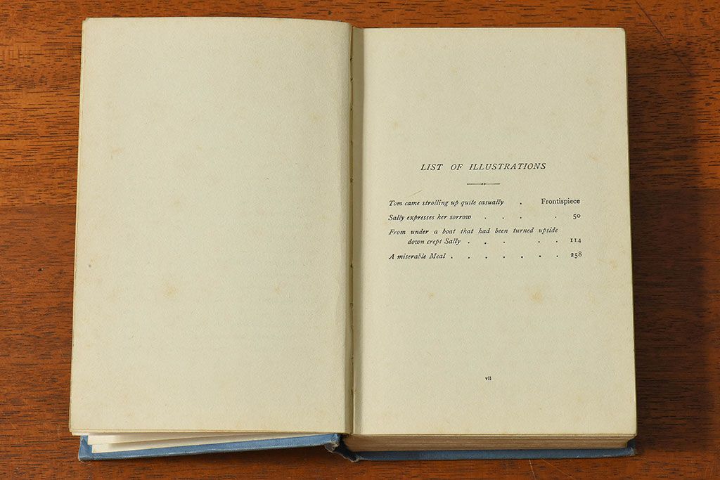 アンティーク雑貨　フランス　ネルソン(NELSON)　アンティークブック(洋書、古書、本)