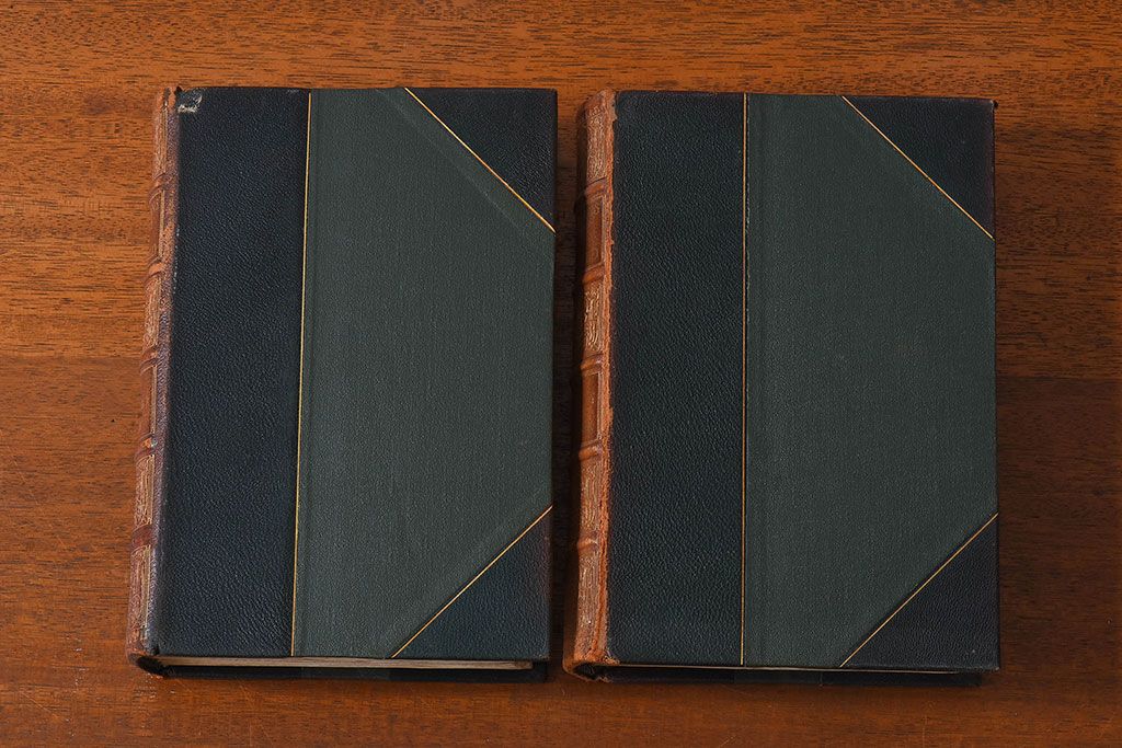 イギリス アンティークブック7冊セット/書籍/歴史本/インテリア