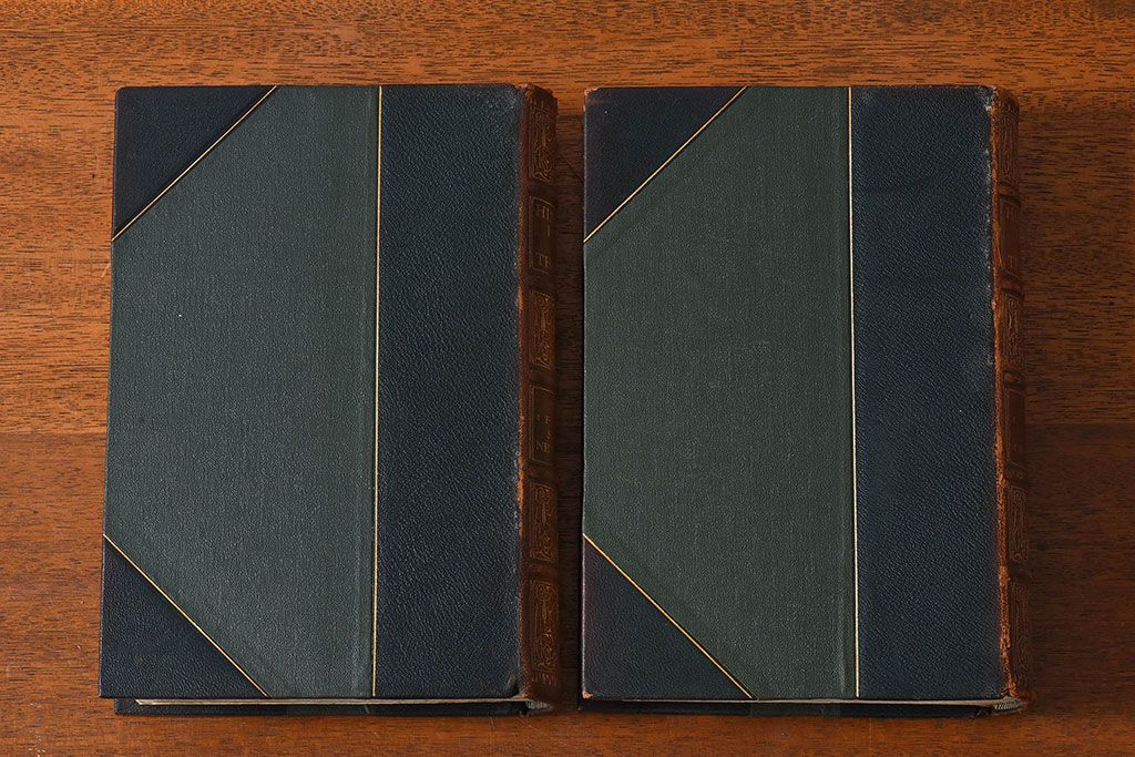 アンティーク雑貨　イギリスアンティーク　The Historians' History of the World　本(洋書、古書、英字本)2冊セット(2)