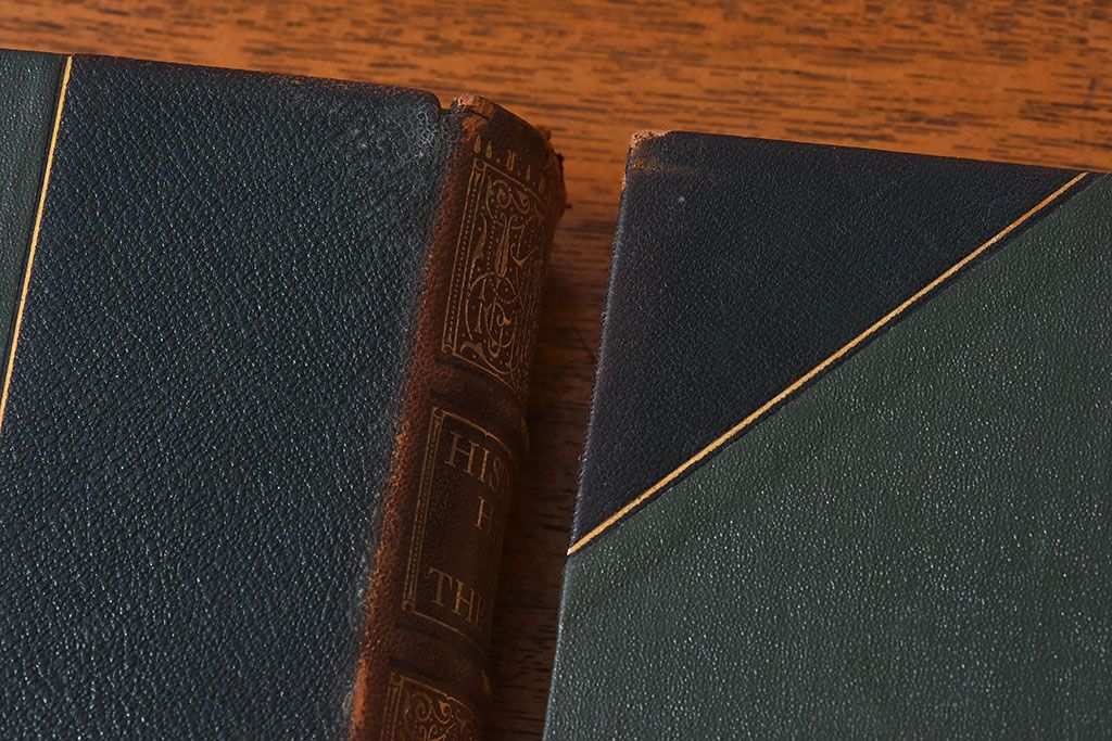 アンティーク雑貨　イギリスアンティーク　The Historians' History of the World　本(洋書、古書、英字本)2冊セット(2)