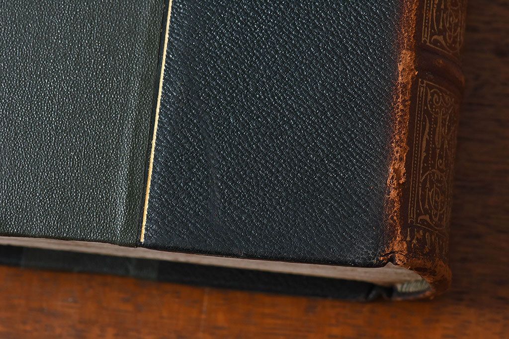 アンティーク雑貨　イギリスアンティーク　The Historians' History of the World　本(洋書、古書、英字本)2冊セット(2)