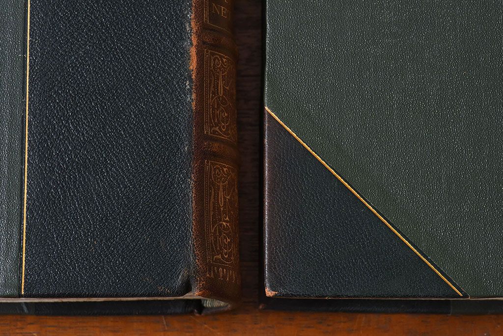 アンティーク雑貨　イギリスアンティーク　The Historians' History of the World　本(洋書、古書、英字本)2冊セット(2)