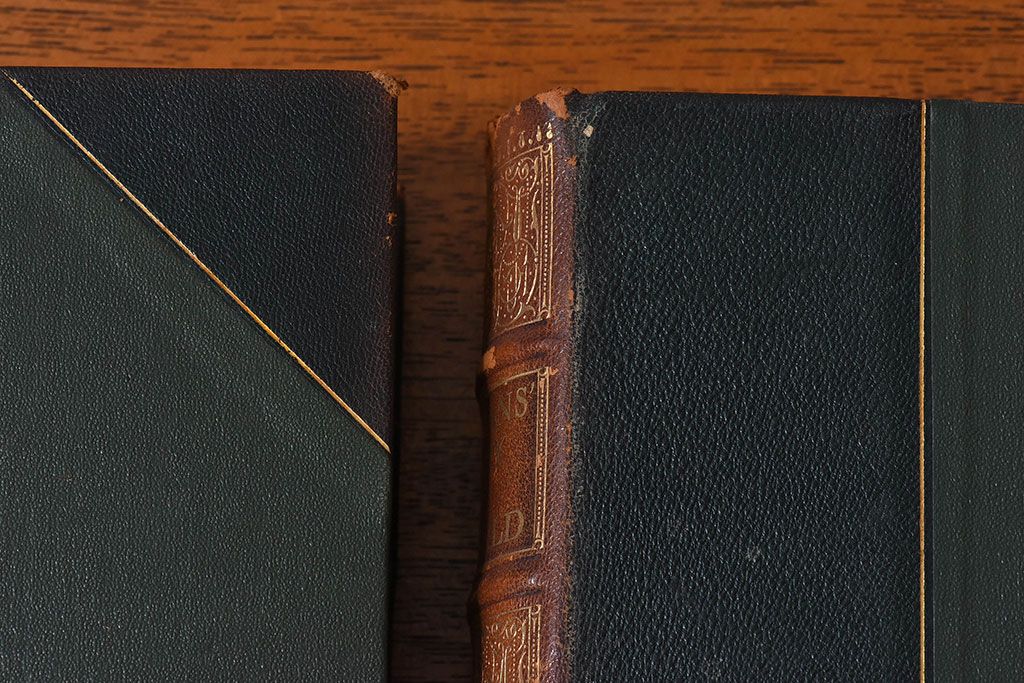 アンティーク雑貨　イギリスアンティーク　The Historians' History of the World　本(洋書、古書、英字本)2冊セット(2)
