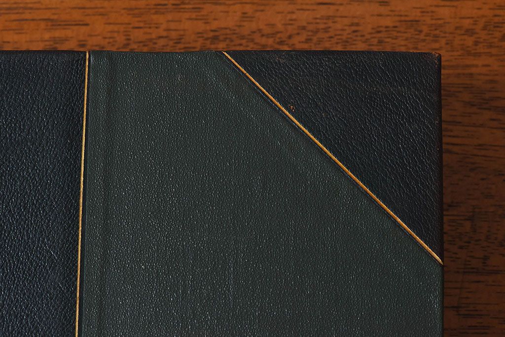 アンティーク雑貨　イギリスアンティーク　The Historians' History of the World　本(洋書、古書、英字本)2冊セット(2)