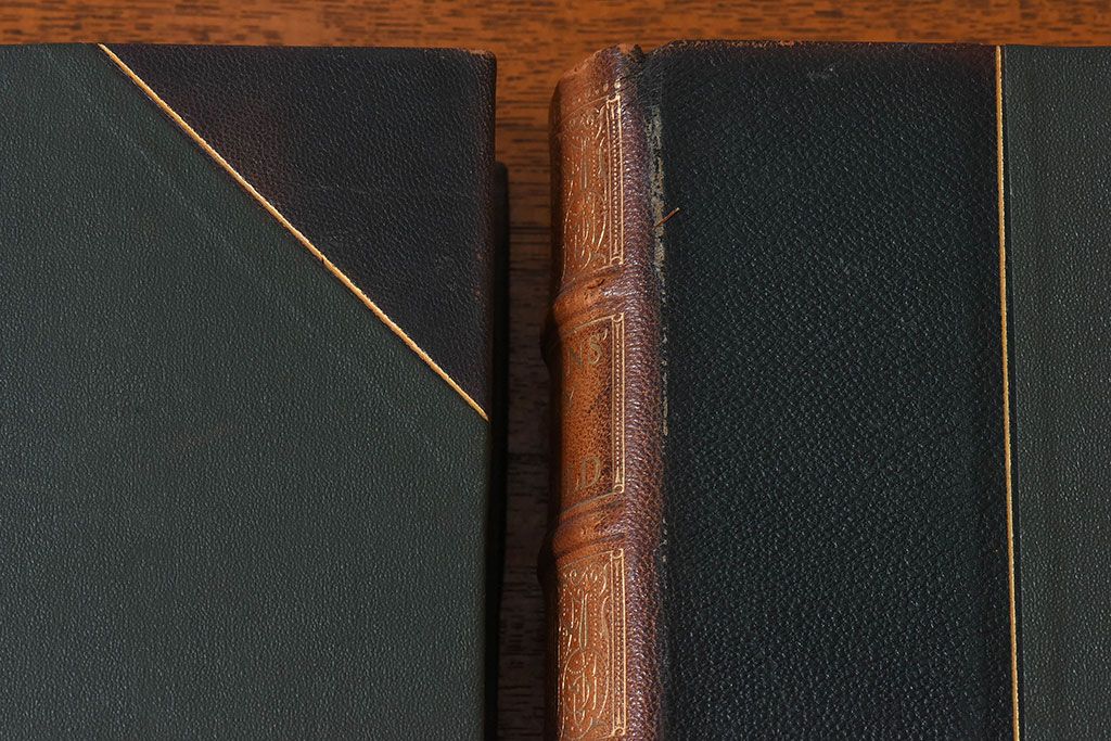 アンティーク雑貨　イギリスアンティーク　The Historians' History of the World　本(洋書、古書、英字本)2冊セット(3)