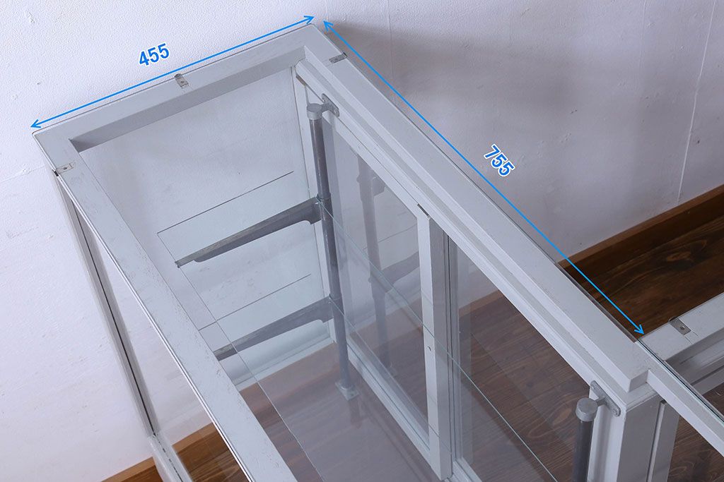 ペイント家具　落ち着きのあるナチュラルな雰囲気が魅力的なショーケース(ガラスケース、陳列棚、飾り棚)