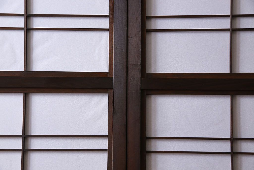 和製アンティーク　細かな格子が美しい万本格子戸(引き戸、建具、ガラス帯戸、障子戸)2枚セット(R-026944)
