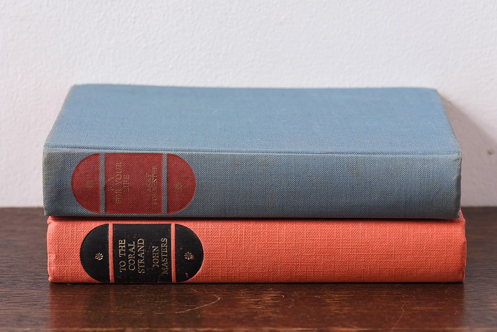 アンティーク雑貨　イギリスアンティーク　飾るだけで様になる本(洋書、古書、英字本)2冊セット