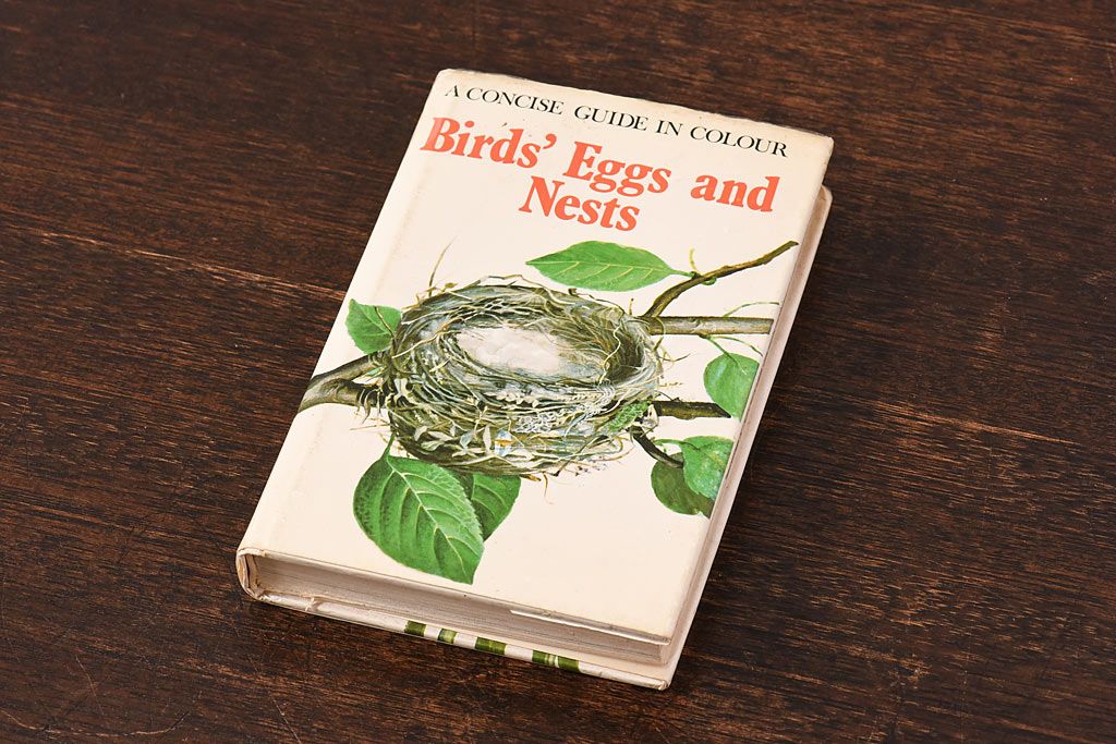 アンティーク雑貨　イギリス　HAMLYN社 A Concise Guide in Colour　Birds'Eggs and Nests　コンパクトハンドブック(洋書、ポケット辞典、本)