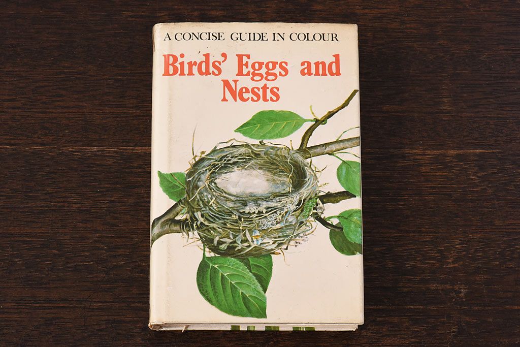 アンティーク雑貨　イギリス　HAMLYN社 A Concise Guide in Colour　Birds'Eggs and Nests　コンパクトハンドブック(洋書、ポケット辞典、本)