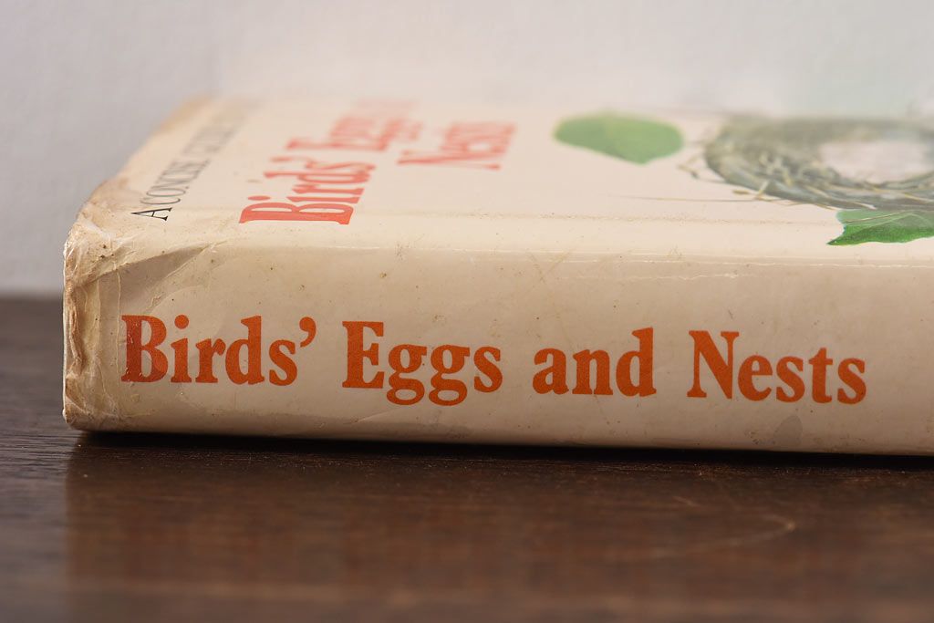 アンティーク雑貨　イギリス　HAMLYN社 A Concise Guide in Colour　Birds'Eggs and Nests　コンパクトハンドブック(洋書、ポケット辞典、本)